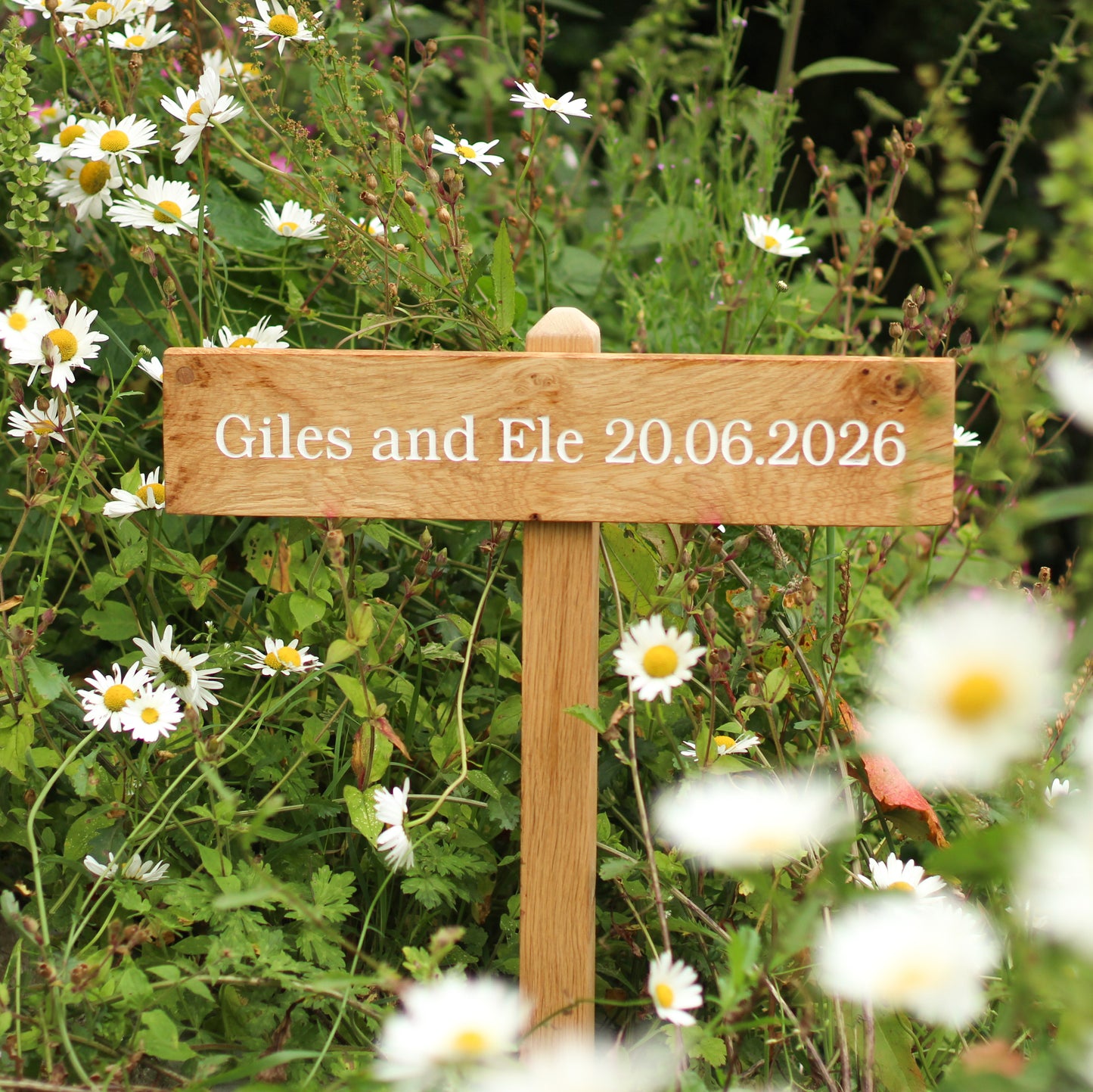 Wooden sign with 'Giles and Ele 20.06.2026' in a garden with daisies