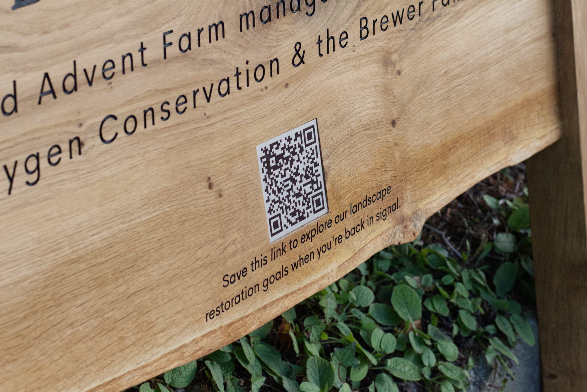 Wooden bench with QR code label and text about conservation and restoration goals, set against a natural background.