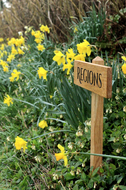 Solid Oak Simple One Post Sign