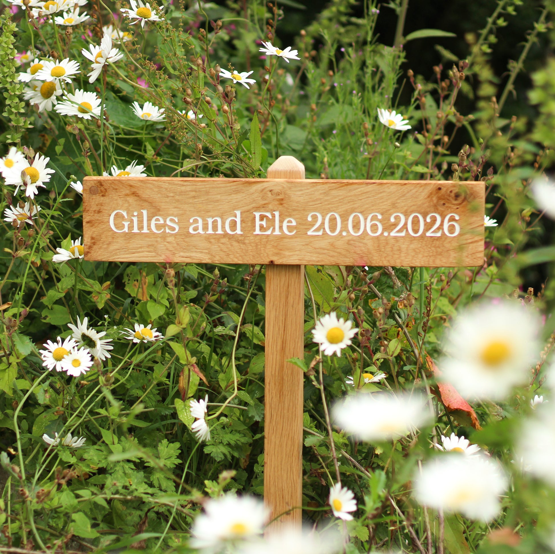 Wooden sign with 'Giles and Ele 20.06.2026' in a garden with daisies