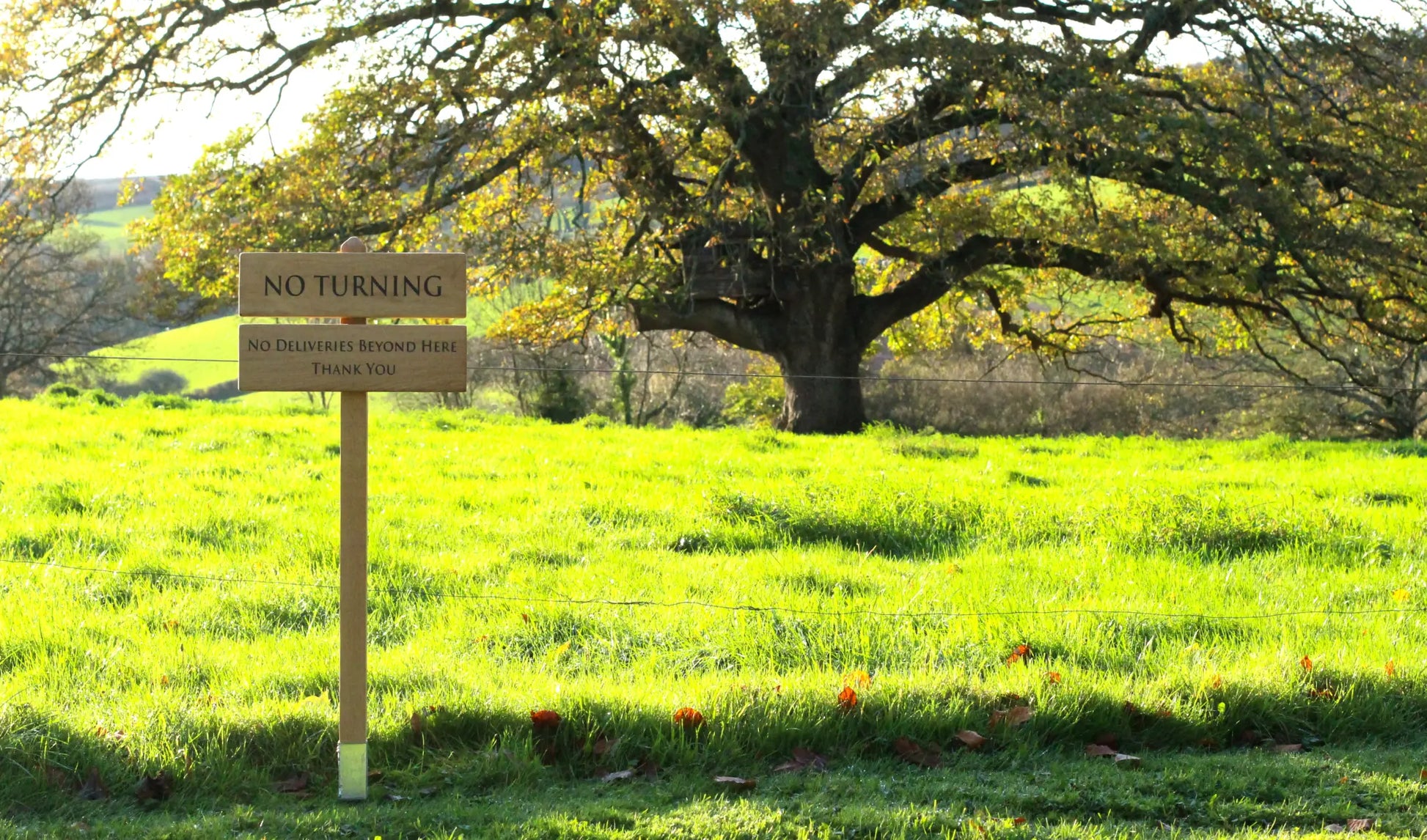 photo of wooden sign with the background of a large oak tree
