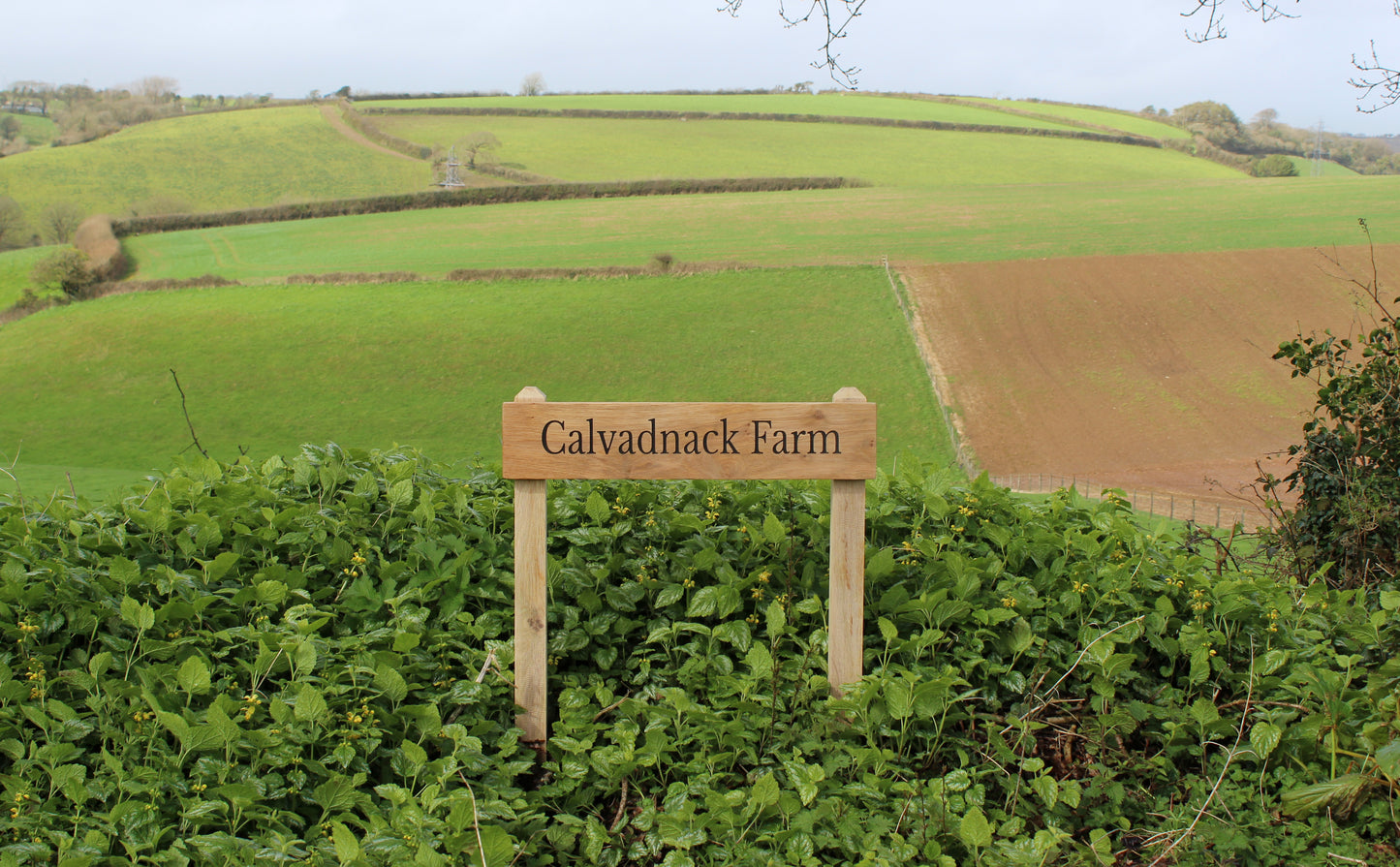 Customisable Oak Free-Standing House Signs
