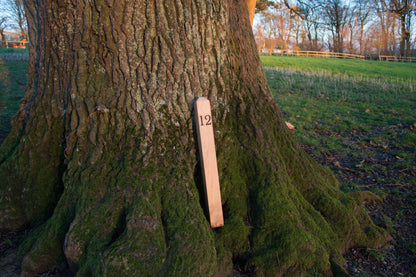 Solid Oak House 70cm Milestone Number  Post